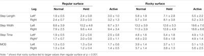 Increased Arm Swing and Rocky Surfaces Reduces Postural Control in Healthy Young Adults